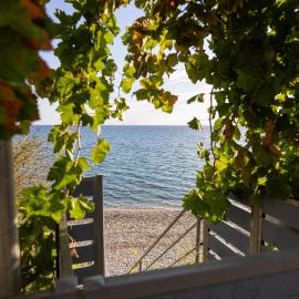 Ammoudeli Apartments - Beachfront Apartments in Plomari