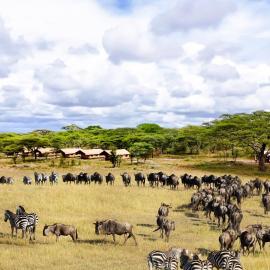 Africa Safari Serengeti Kusini, hotel u gradu Sinoni