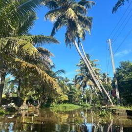 Birdwatching and kaya king for backpackers, hotel a Alleppey