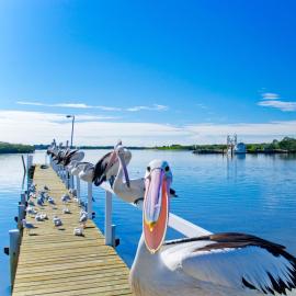 Moby Dick Waterfront Resort Motel, hotel in Yamba