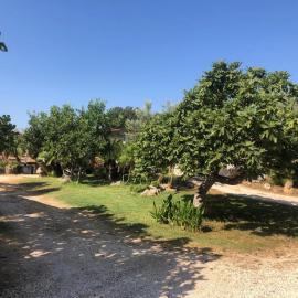 NicChia Turchese, hotell sihtkohas Orosei