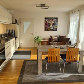 Apartment „Am Südhang“