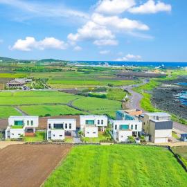 casadelfino in jeju