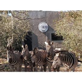 The Nest - Marloth Park, hotel in Marloth Park