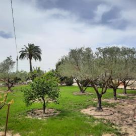 Preciosa finca con piscina R105 by Novadesta, hótel í Elche
