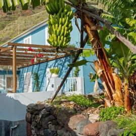 Blue by the Sea House, hotell sihtkohas Paul do Mar