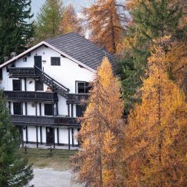 Angolo del Bosco