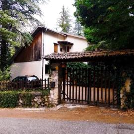 La Stella Alpina