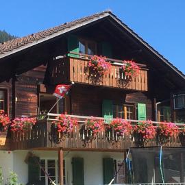 Apartment Hari by Interhome, Hotel in Adelboden