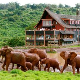 The Ark Lodge, ξενοδοχείο σε Nyeri