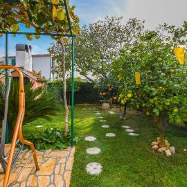 Apartments Ivancic