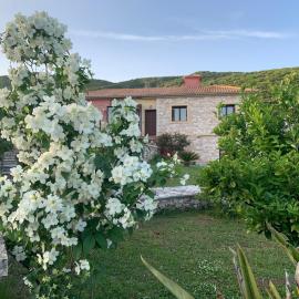 Iris Bioclimatic House, hotel a Kamarína
