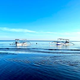 Dolphin Tour Private Villa Packet At Seririt