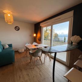 Appartement confortable avec piscine et parking à Évian-les-Bains - FR-1-498-109