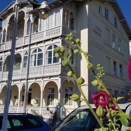 Villa Maria, hotel Sassnitzban