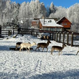 Viesnīca Farma František pilsētā Stachy