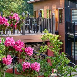 Mirabosque aparment Ejecutivos 6, hotel in Osorno