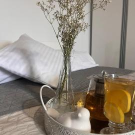 Apartament Na Starówce VII, hotel in Pszczyna