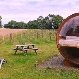 Tonneau bulle insolite, vue sur vignoble, hotel in Pouldergat