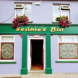 Seanie's guest house, hotel in Tullaroan