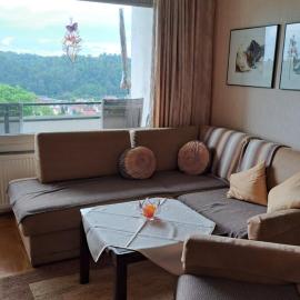 Harzer Ferienwohnung mit Pool und Sauna、バート・ラウターベルクのホテル
