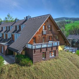 Horský Apartmán Říčky、リッキーのホテル