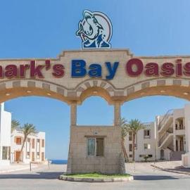 sharks bay oasis aqua park