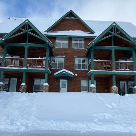 Ski in and out, pet and kid friendly, slope side townhouse, hotel in Snowshoe