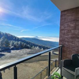 Apartman Vidik Family Divčibare, Hotel in Divčibare