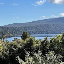 Lake Kaniere Lodge, hotel in Lake Kaniere