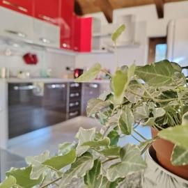Hygge Guesthouse、Condoveのホテル