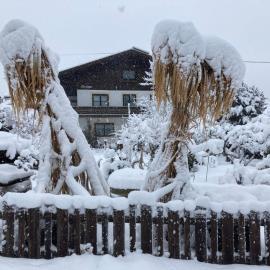 Haus Brugger