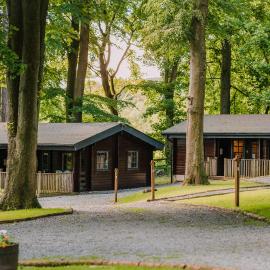 The Jonas Centre