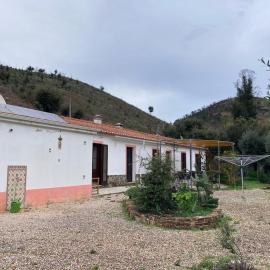 Oleiro de Cima