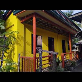 Francis Home Stay Port Barton bonifacio street
