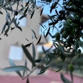 Kamari House Crete