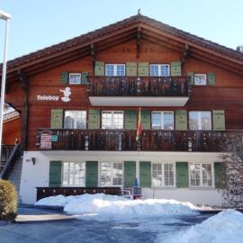 Apartment Teleboy by Interhome, hotel in Lenk