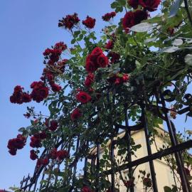 Ca' della Sfinge Colibrì a Civiasco