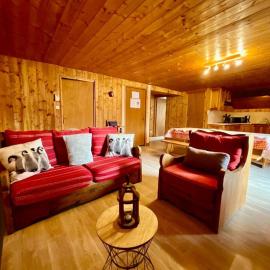 Le Grand Aigle, bel appartement style chalet, Hotel in Xonrupt-Longemer