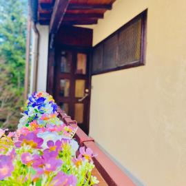 Holiday Apartment