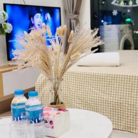Căn hộ dịch vụ Vinhome Smart, khách sạn ở Phú Thú