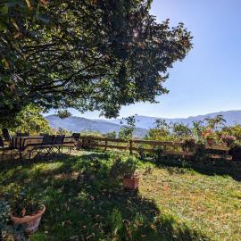 Gîte rural Vosges, 6 pers., WiFi, parking, vélos bienvenue - FR-1-589-760