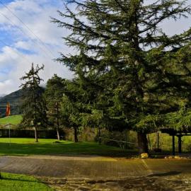 El Nial de Los Pinos, hotel a Ojedo