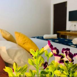 The Bodhi Tree Resort, hotel en Morjim