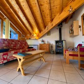 Appartement lumineux au centre de Samoëns avec parking - FR-1-624-22