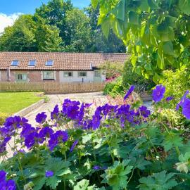 Pardlestone Farm Cottages