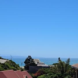 Dolphin View Diaz