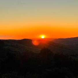 Matakana view
