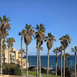 Sunny bungalow La Mata with sea views, hotel in Torrevieja