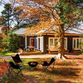 Charming Moutain Cottage -Pet Friendly